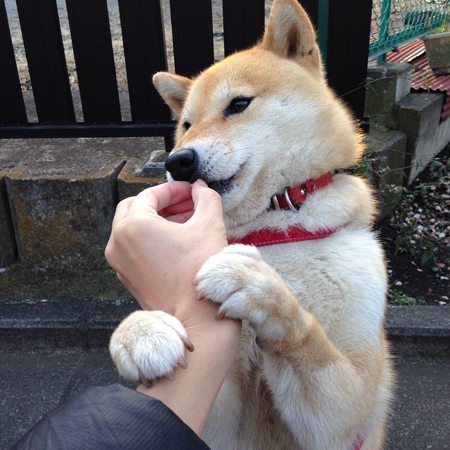 数据统治时代，当帕尔默闪耀时，谁带走了希腊的天才？