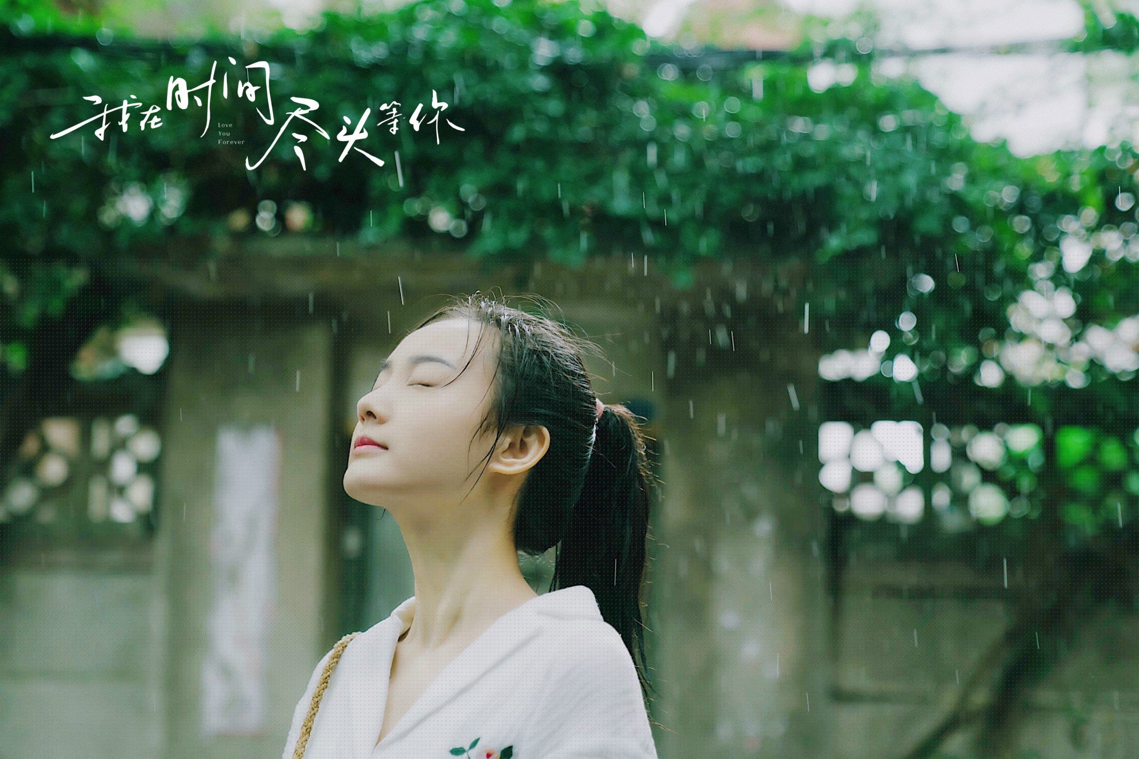 钢铁防线与利刃出鞘,灰熊全面压制纽约,爱德华兹加冕关键先生