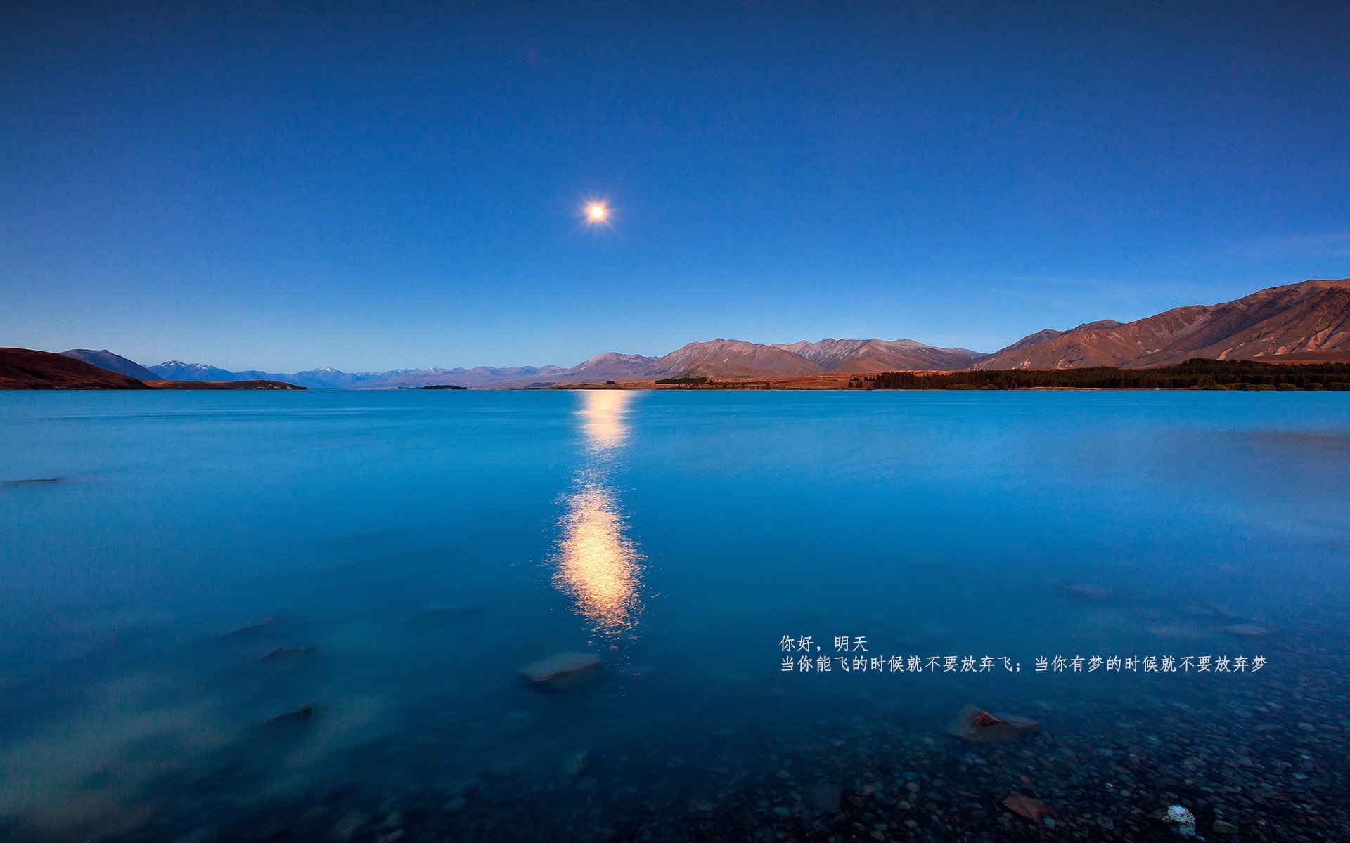 开云sport-当卢卡库的数据统治了绿茵场，苏格兰在阿瓦隆里带走了秘鲁